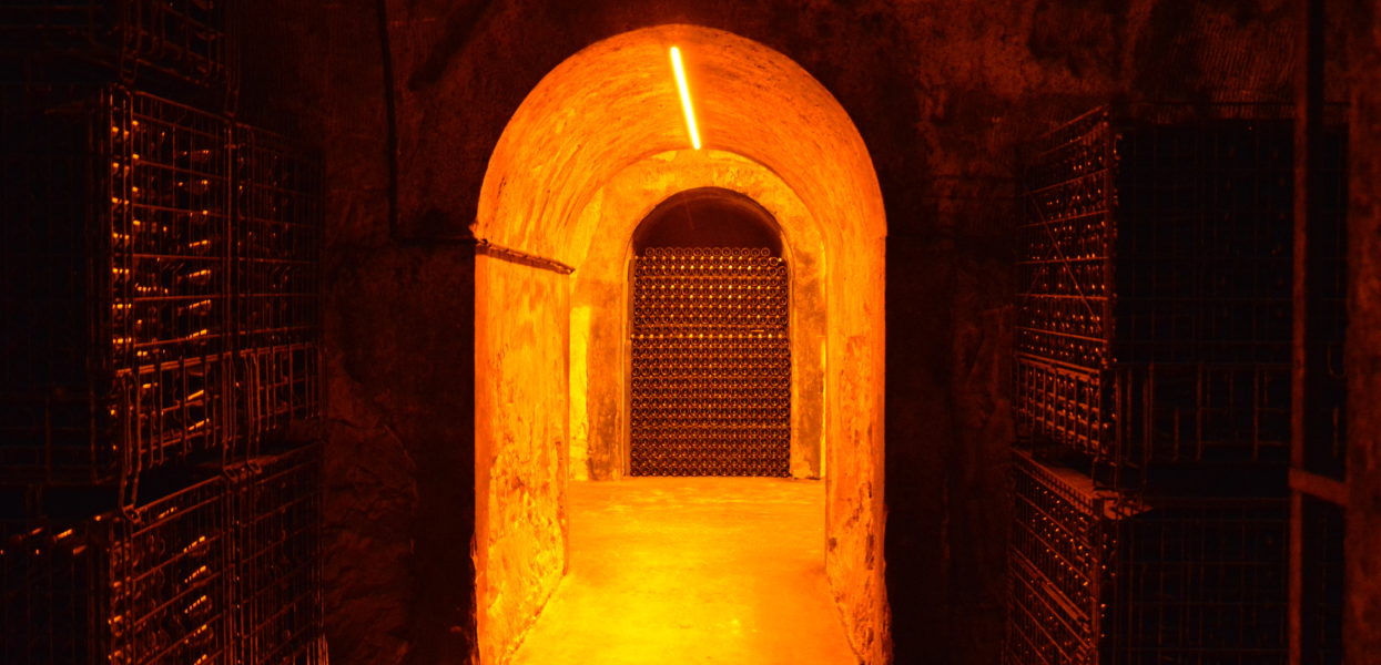 Open Cellars in Montagne de Reims